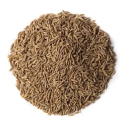 Organic Cumin Seed